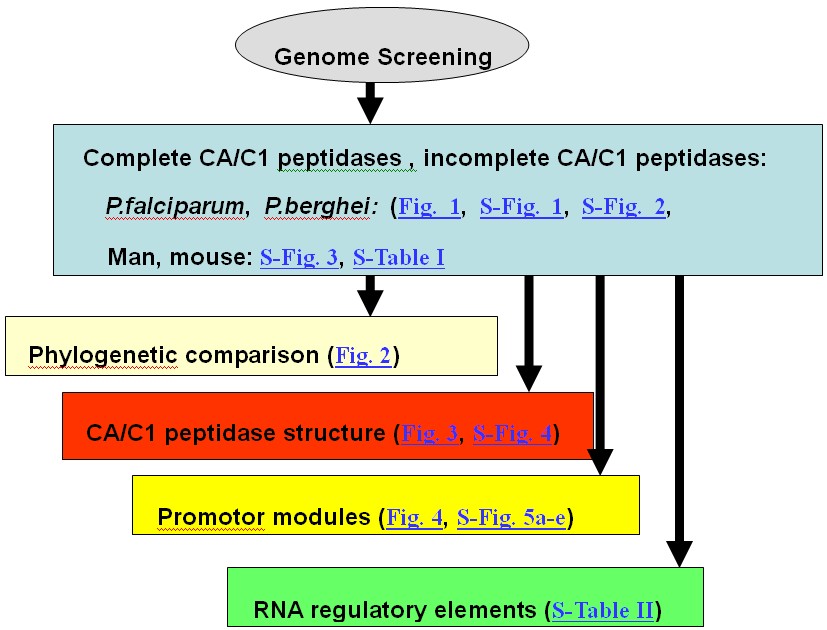 Summary Scheme